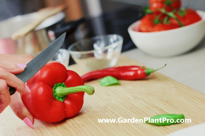 How To Grow Sweet Bell Peppers (Capsicum) At Home