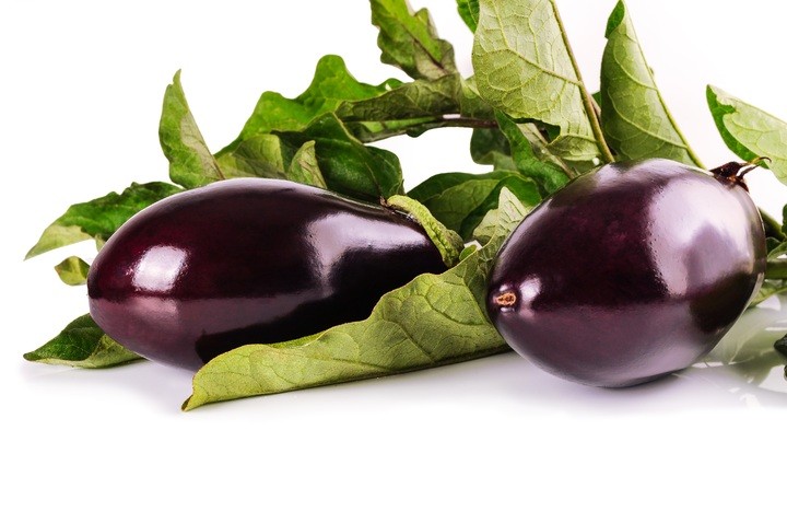 How To Grow Eggplant (Aubergines) In Your Garden